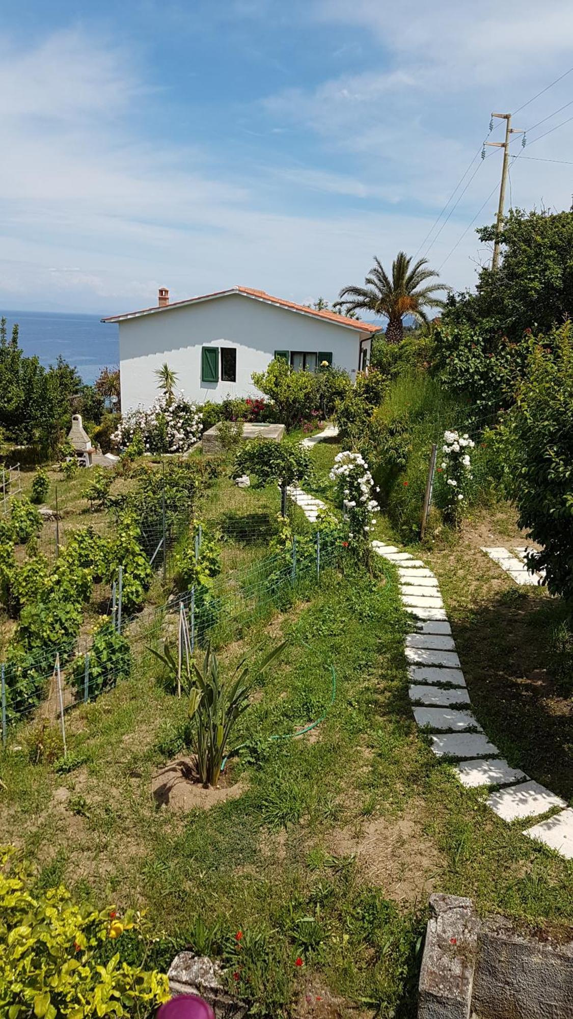 Hotel Gallo Nero SantʼAndrea Zewnętrze zdjęcie